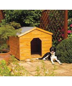 dogs-and-kennels